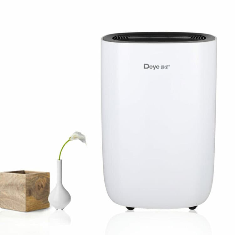 best dehumidifier for cold room