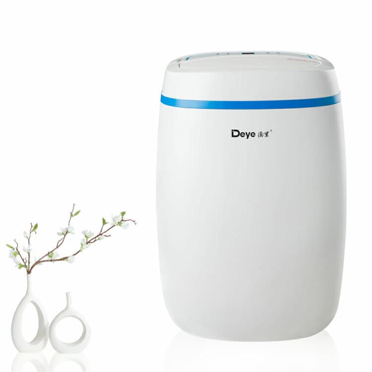 best dehumidifier for cold room