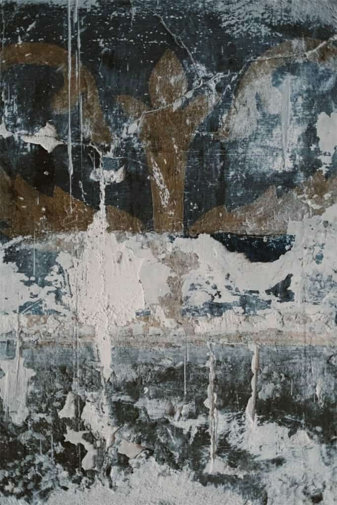 Wall is Damp and Moldy