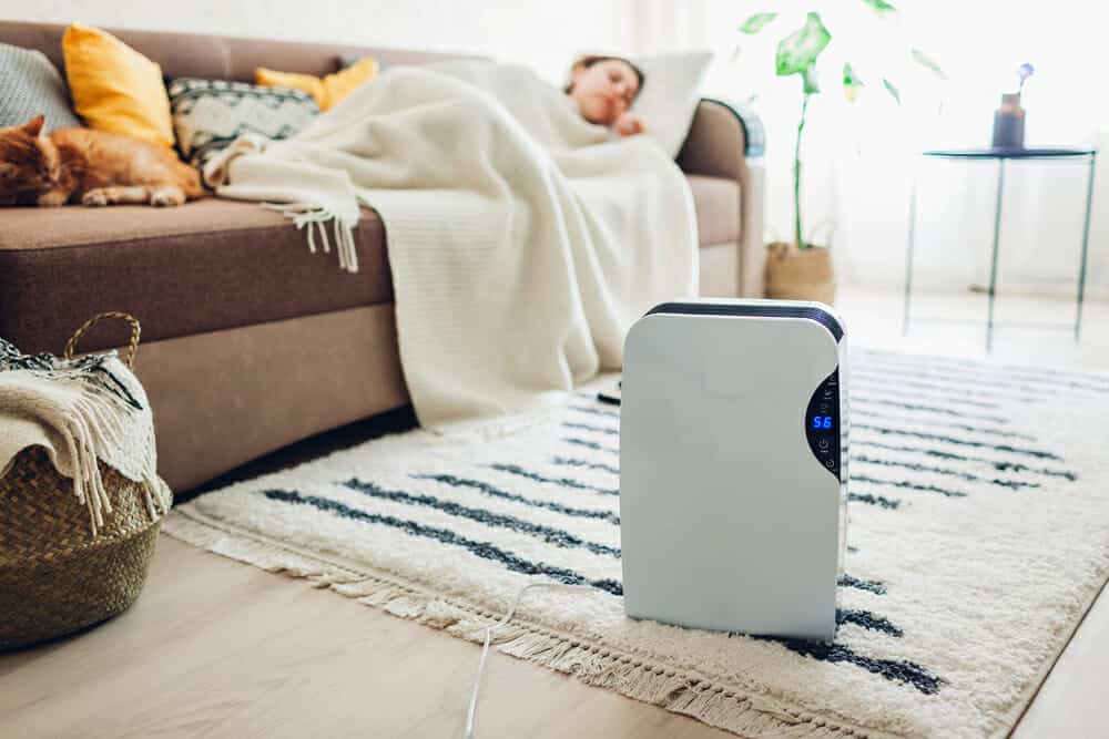 An Insomniac's Guide to Dehumidifiers