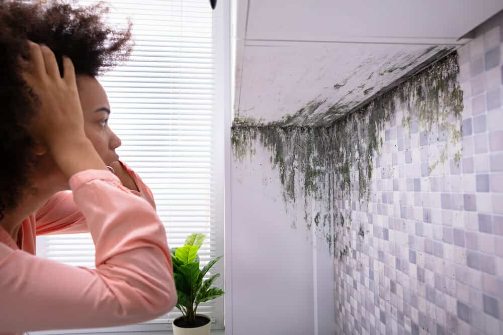 Mujer mirando moho en la pared