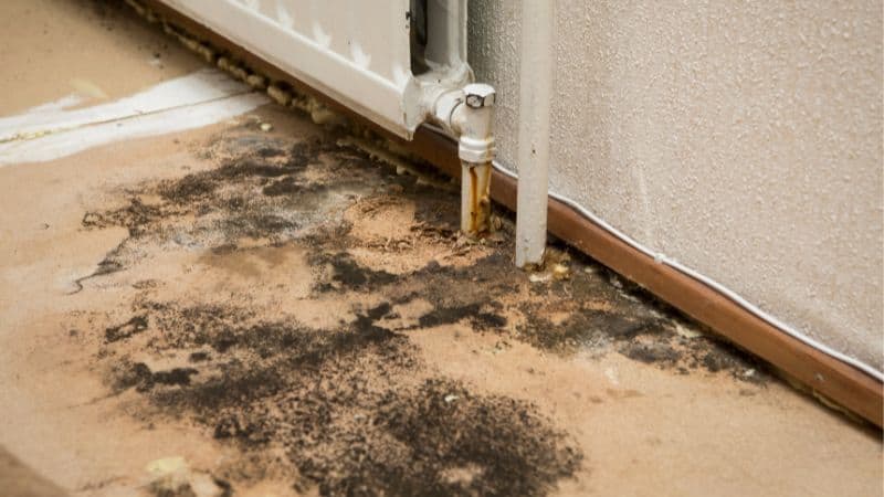 Dégâts d'eau et croissance de moisissures dans le coin d'une pièce près d'un radiateur et d'un mur, montrant un sol humide et taché et des murs moisis.