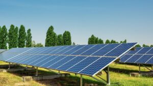 Solarmodule einer Solarfarm